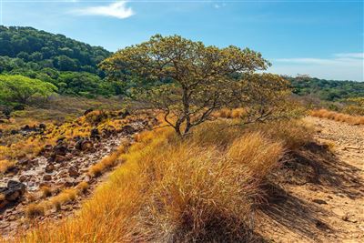 Vulkanlandschaft in Rincon de la Vieja